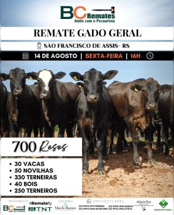 Remate Gado Geral