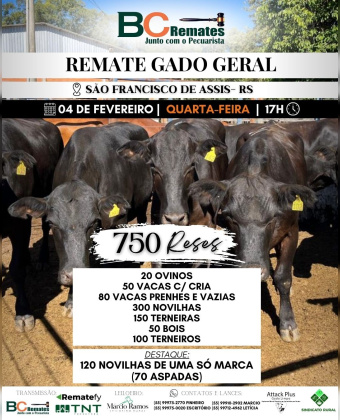 Remate Gado Geral