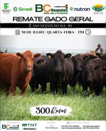 Remate Gado Geral