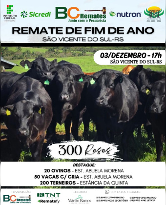 Remate de Fim de Ano 