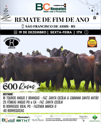 Remate de Fim de Ano 