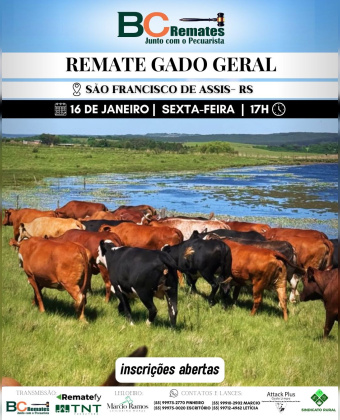 Remate Gado Geral