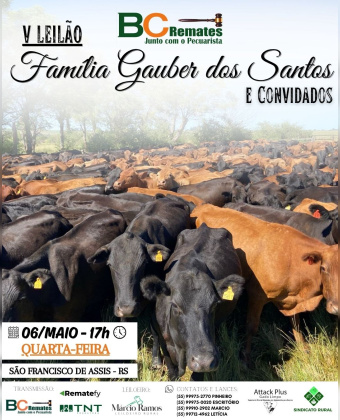 V Leilão Família Gauber dos Santos