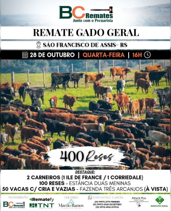 Remate Gado Geral