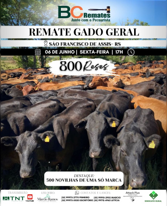 Remate Gado Geral