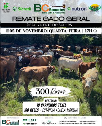 Remate Gado Geral