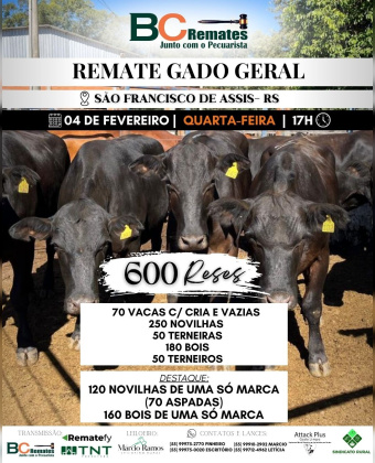 Remate Gado Geral