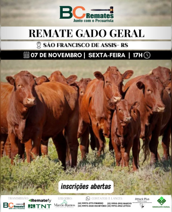 Remate Gado Geral