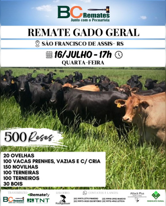 Remate Gado Geral