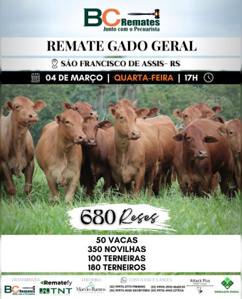 Remate Gado Geral