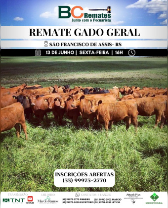Remate Gado Geral