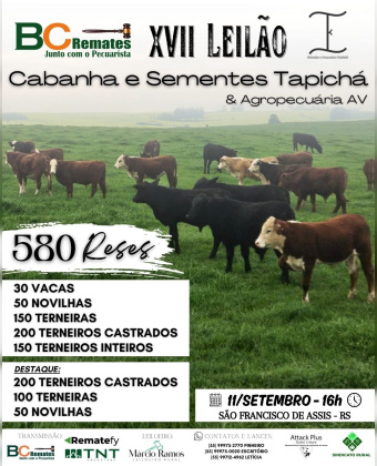 XVII Leilão Cabanha e Sementes Tapicha