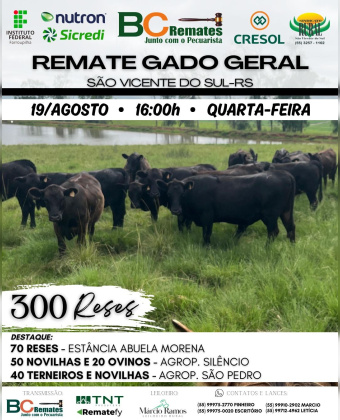 Remate Gado Geral