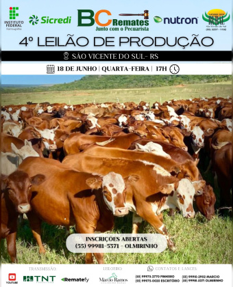 4º Leilão de Produção