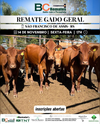 Remate Gado Geral