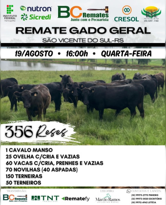 Remate Gado Geral