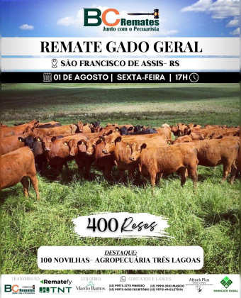 Remate Gado Geral