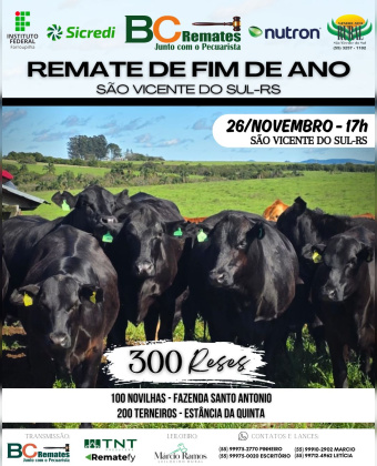 Remate de Fim de Ano 