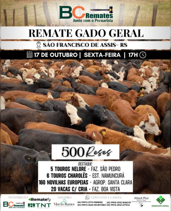 Remate Gado Geral