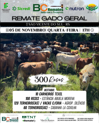 Remate Gado Geral