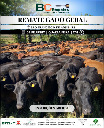 Remate Gado Geral