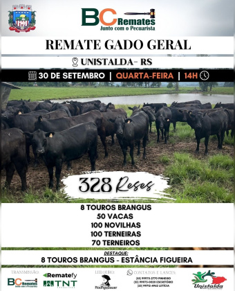 Remate Gado Geral