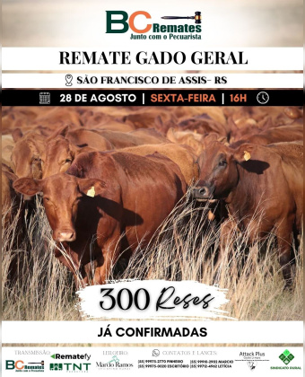 Remate Gado Geral