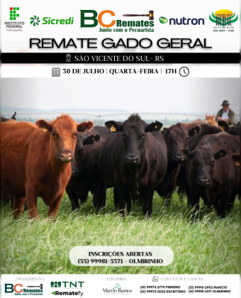 Remate Gado Geral