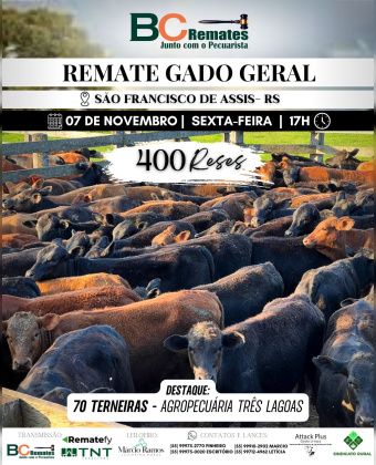 Remate Gado Geral