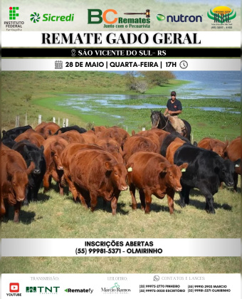 Remate Gado Geral