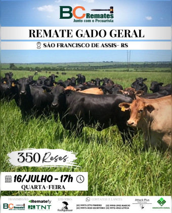 Remate Gado Geral