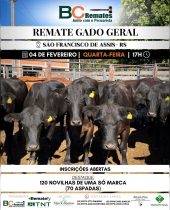 Remate Gado Geral