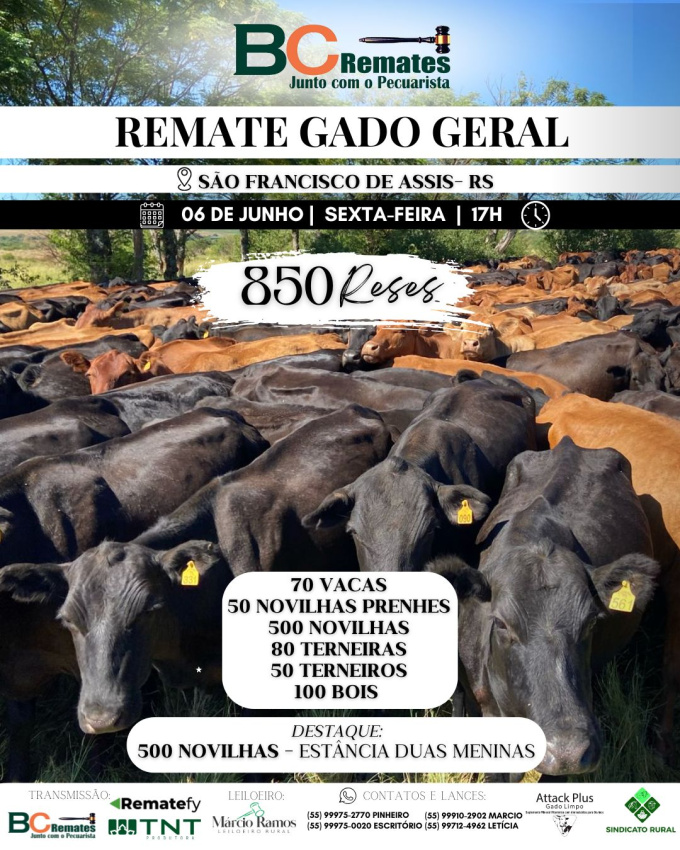 Remate Gado Geral