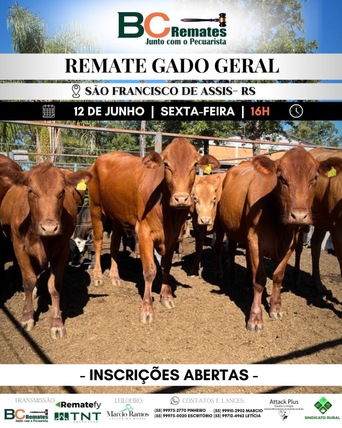 Remate Gado Geral