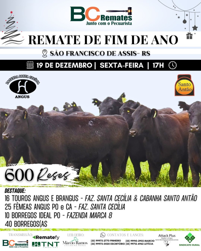 Remate de Fim de Ano 