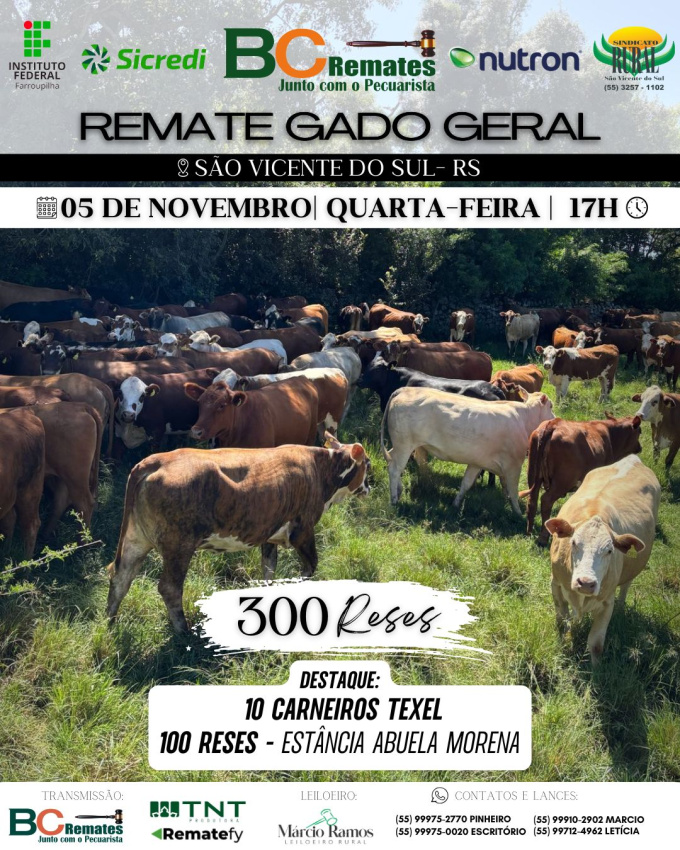 Remate Gado Geral