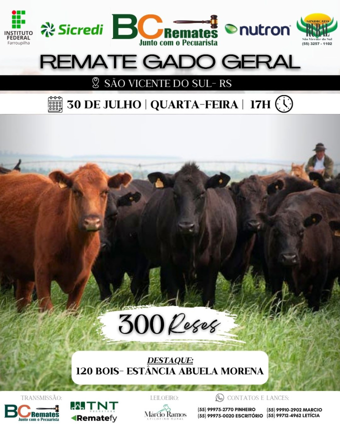 Remate Gado Geral