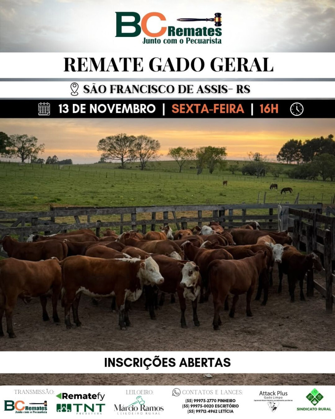 Remate Gado Geral