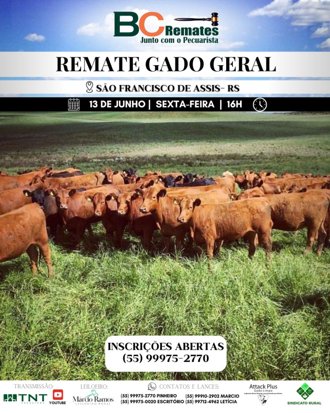 Remate Gado Geral