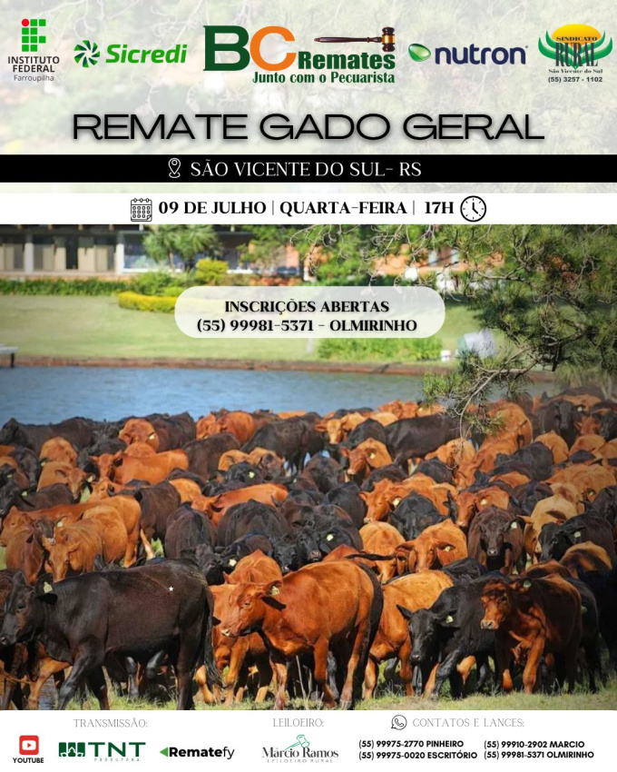 Remate Gado Geral