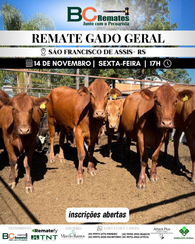 Remate Gado Geral