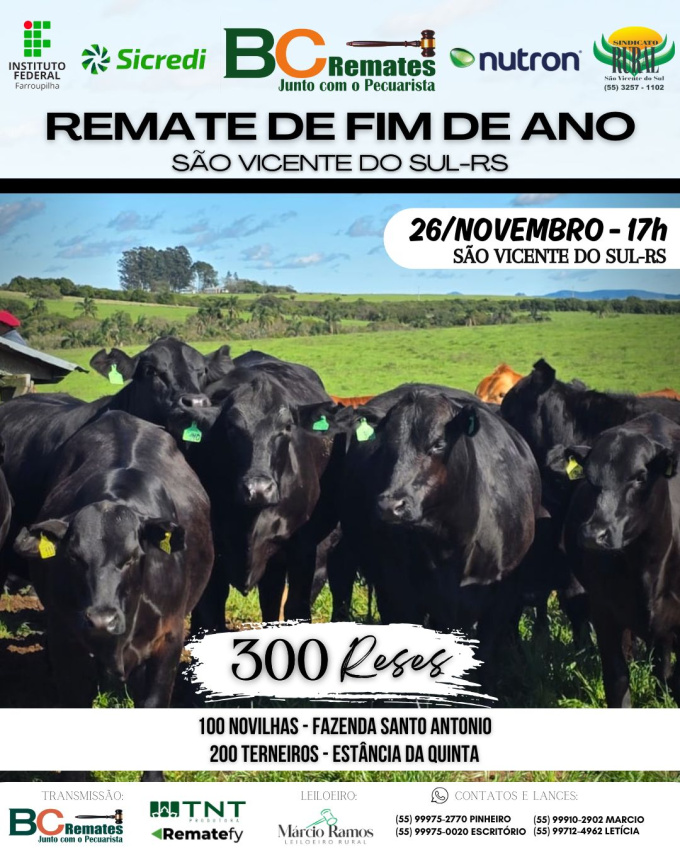 Remate de Fim de Ano 