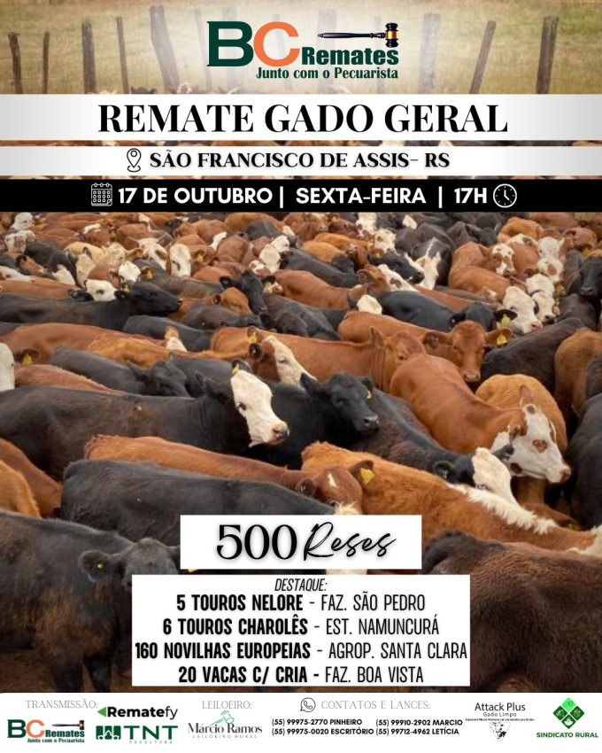 Remate Gado Geral