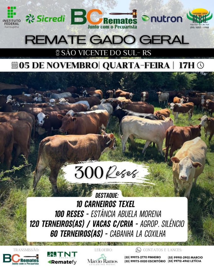 Remate Gado Geral