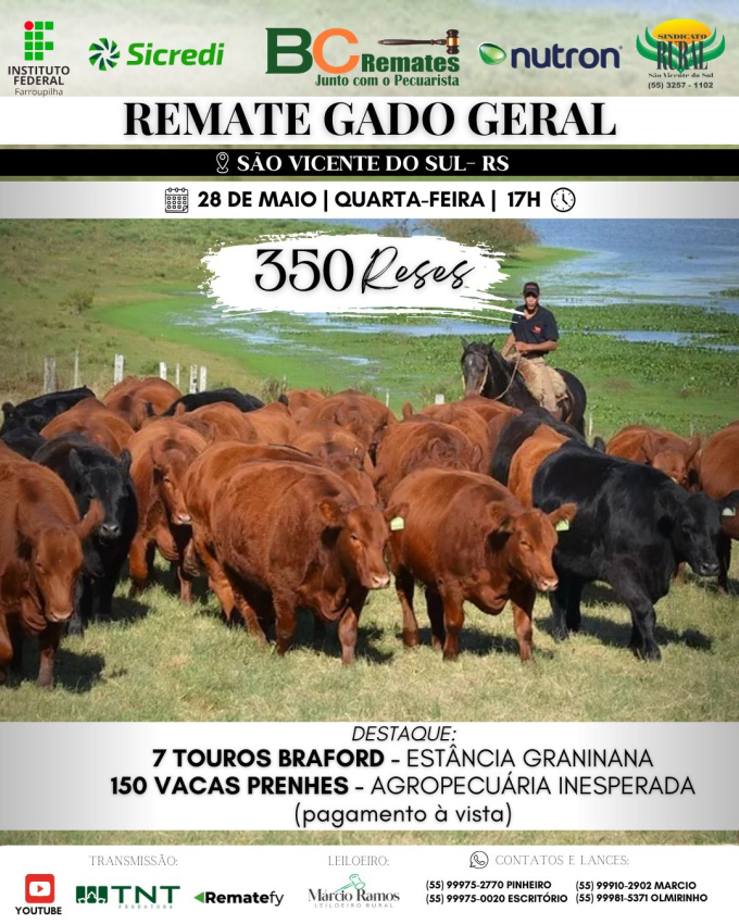 Remate Gado Geral