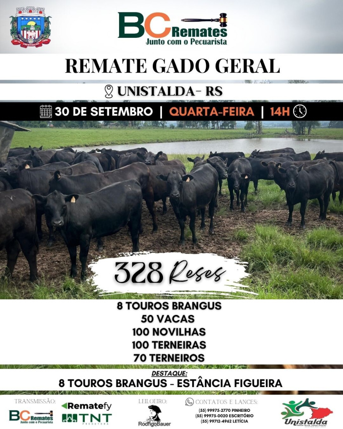Remate Gado Geral