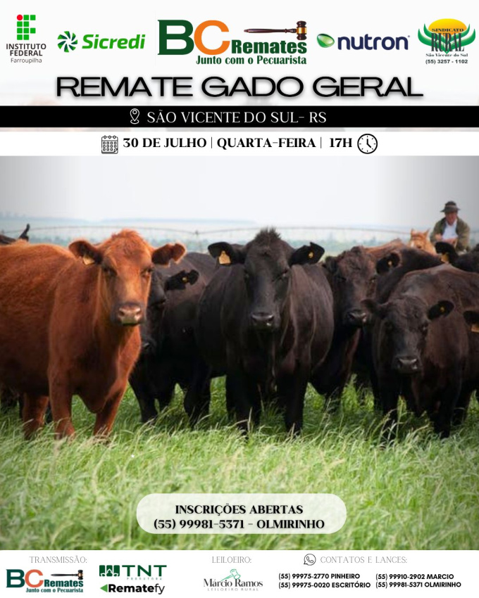 Remate Gado Geral