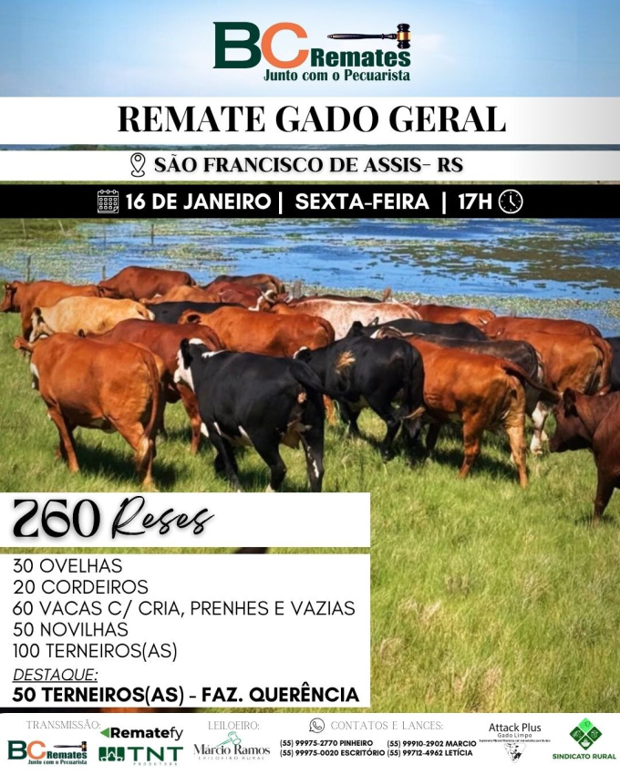 Remate Gado Geral