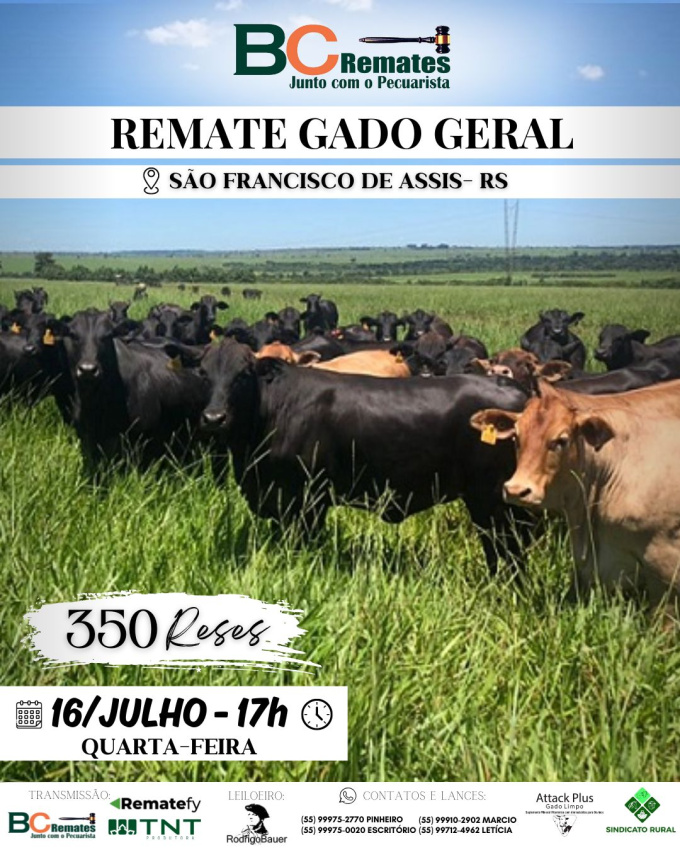 Remate Gado Geral
