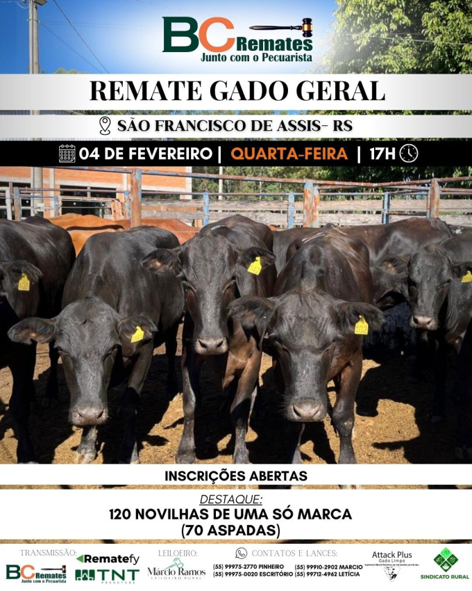 Remate Gado Geral